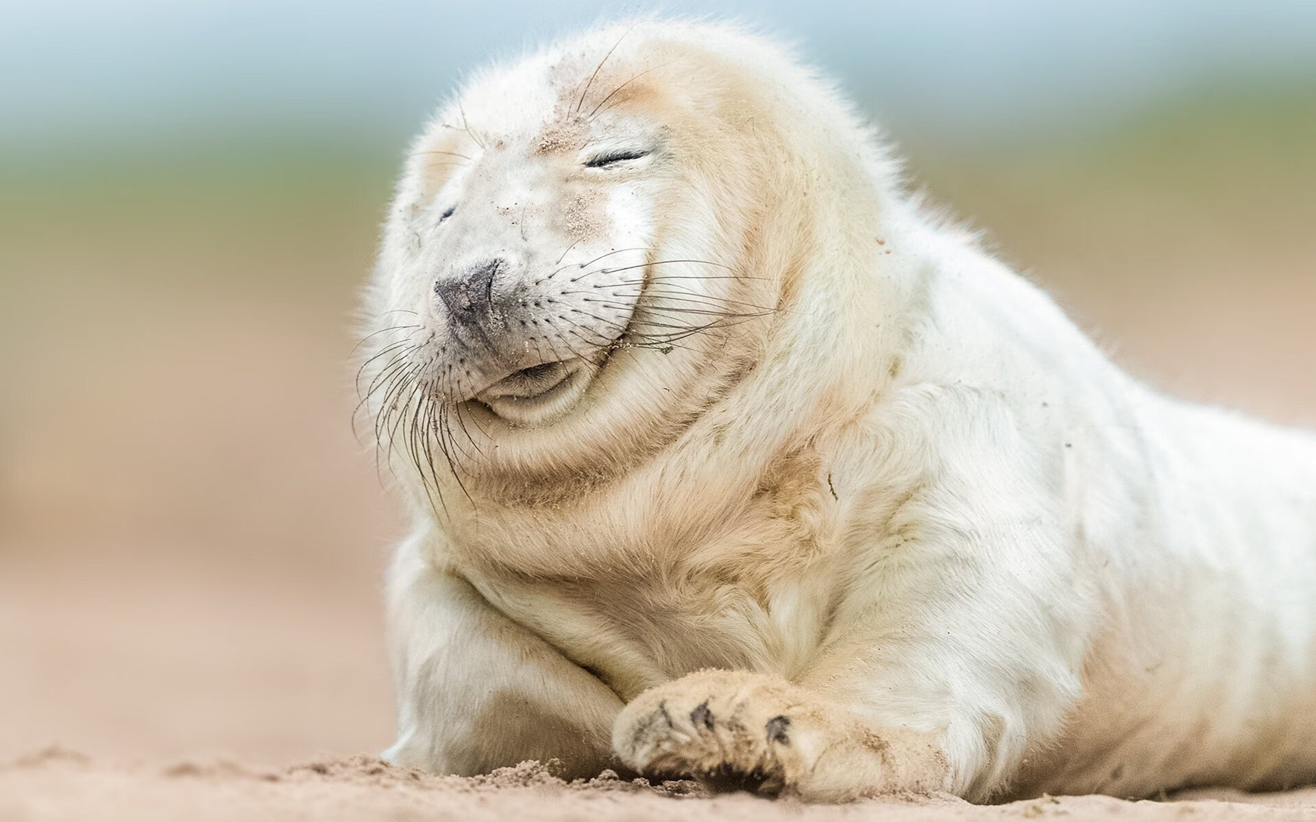 九游网页版官网-_退役运动员表演赛：缅怀历史，振奋精神_，退役军人运动员