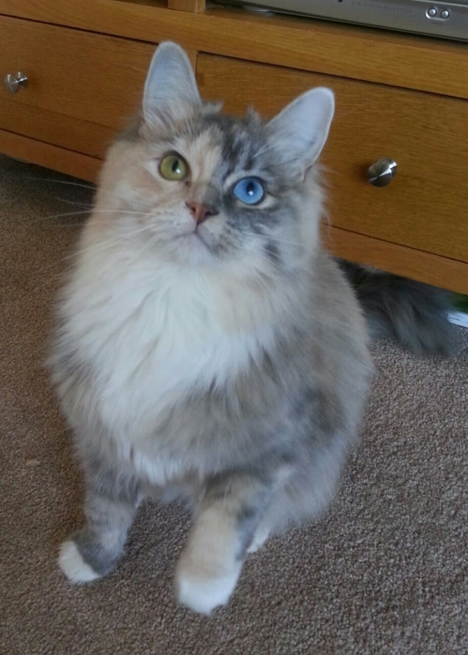 九游游戏中心官网-“场地与战术：多场馆环境对比赛策略的影响深度研究”，比赛场地管理与规划