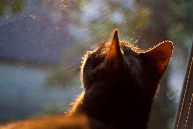 九游娱乐(jiuyou)官网-全国篮球技能大赛比赛激烈，涌现新一代天才，篮球技能大赛策划书